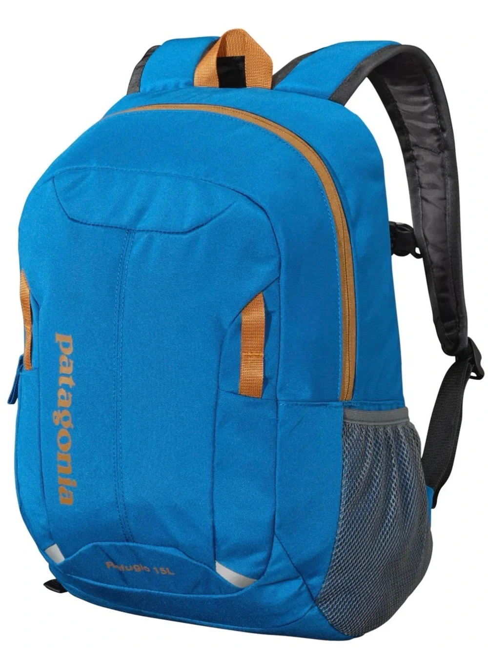 Patagonia Backpack